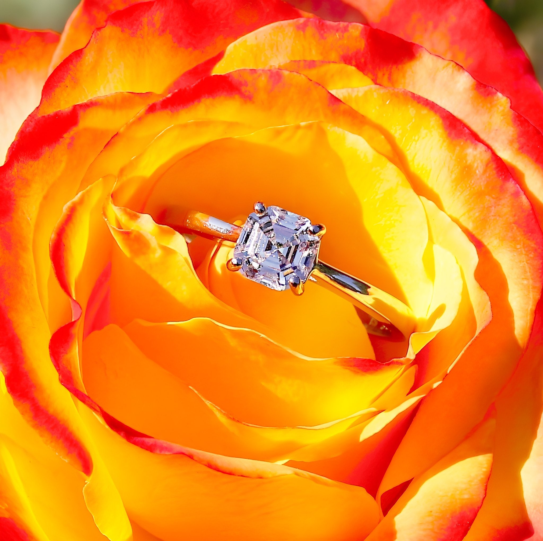 BARBARA -  Sterling Silver Asscher Solitaire Engagement & Promise Ring - Amber James Jewellery