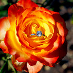 QUINN - Round Floral Solitaire Engagement Ring - Amber James Jewellery