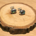MADISON - Sterling Silver Nature Elegant Shell Stud Earrings - Amber James Jewellery